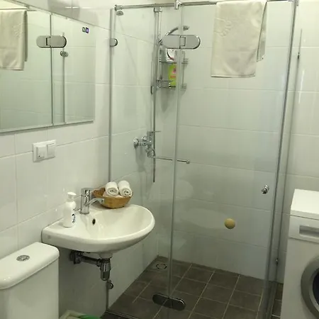 Kaunas Apartament Butas Kaunas